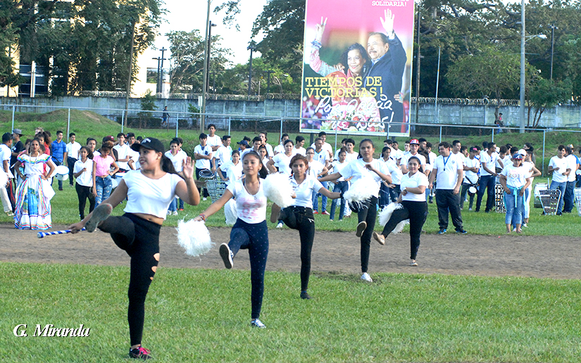 bandas